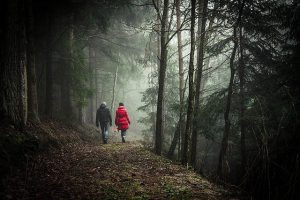 Come fare trekking con smartphone e le migliori app